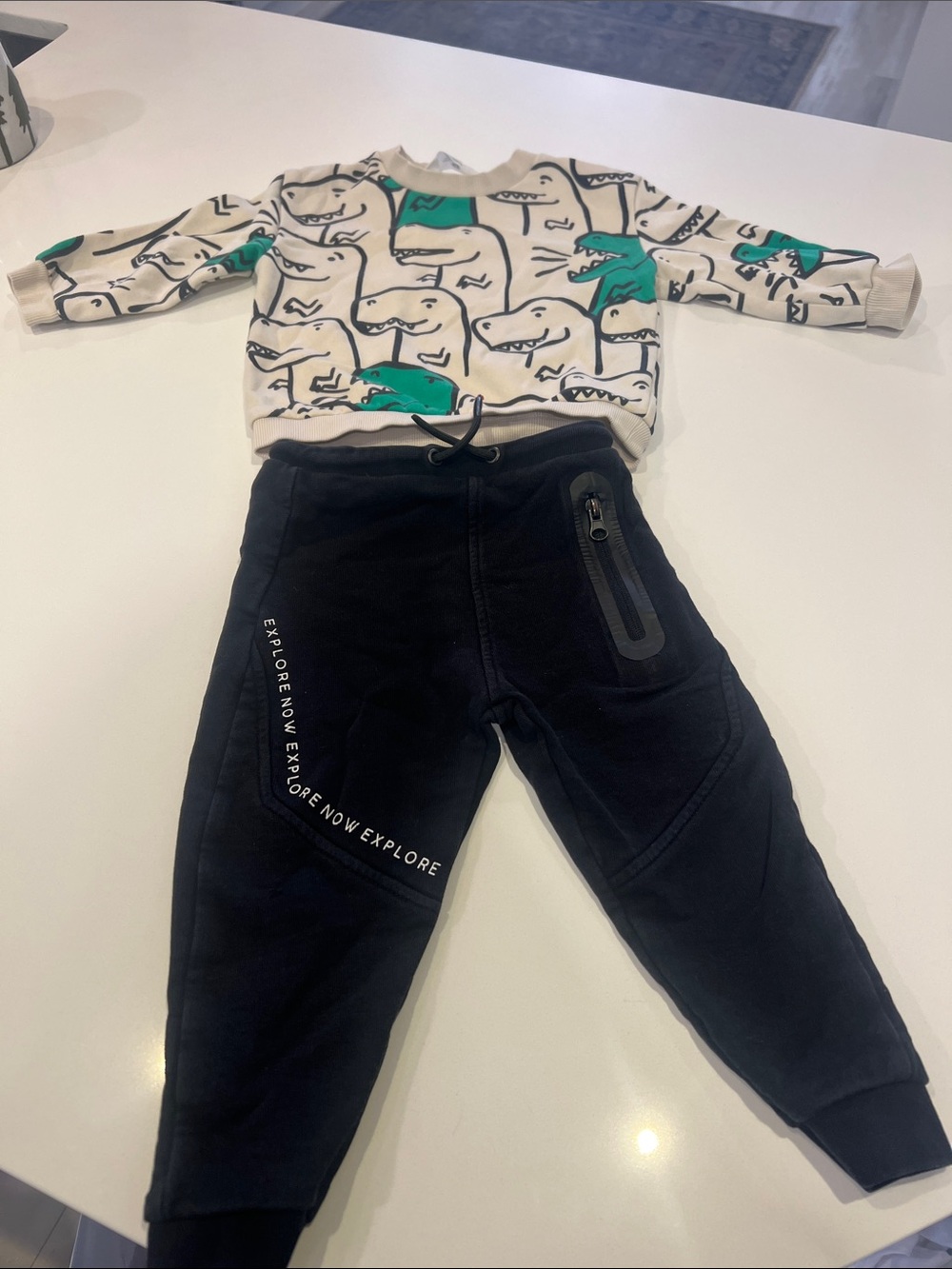 H&M sweatshirt dinos